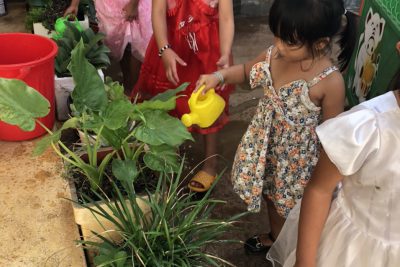 Tổ chức hoạt đông sáng tạo ngoài trời